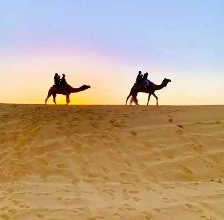 Camel Safari